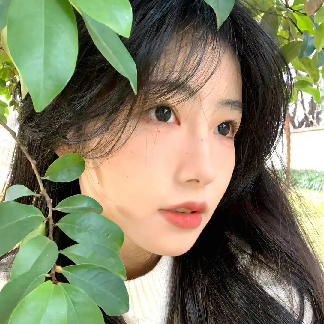 蝶之力学 杀人分析班